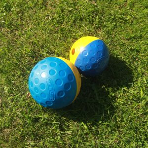 Roller Ball feeder for dog