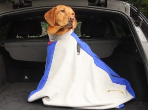 Dog Drying Bag Feature