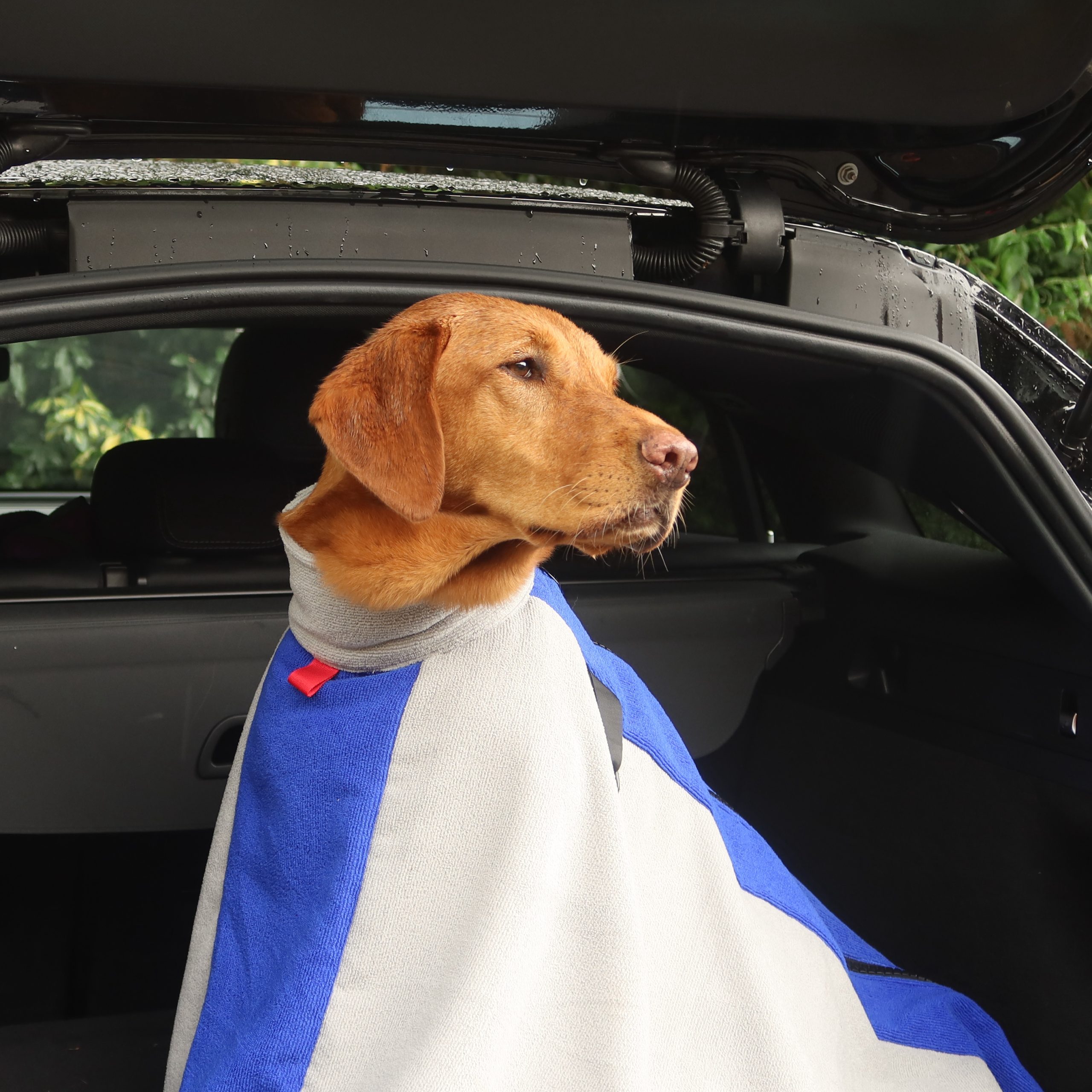 dog drying bag grey2 dog drying bag grey