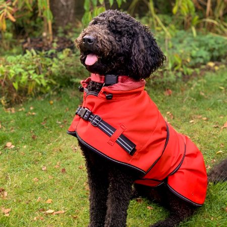 dog_coats_all_seasons_coat_sq